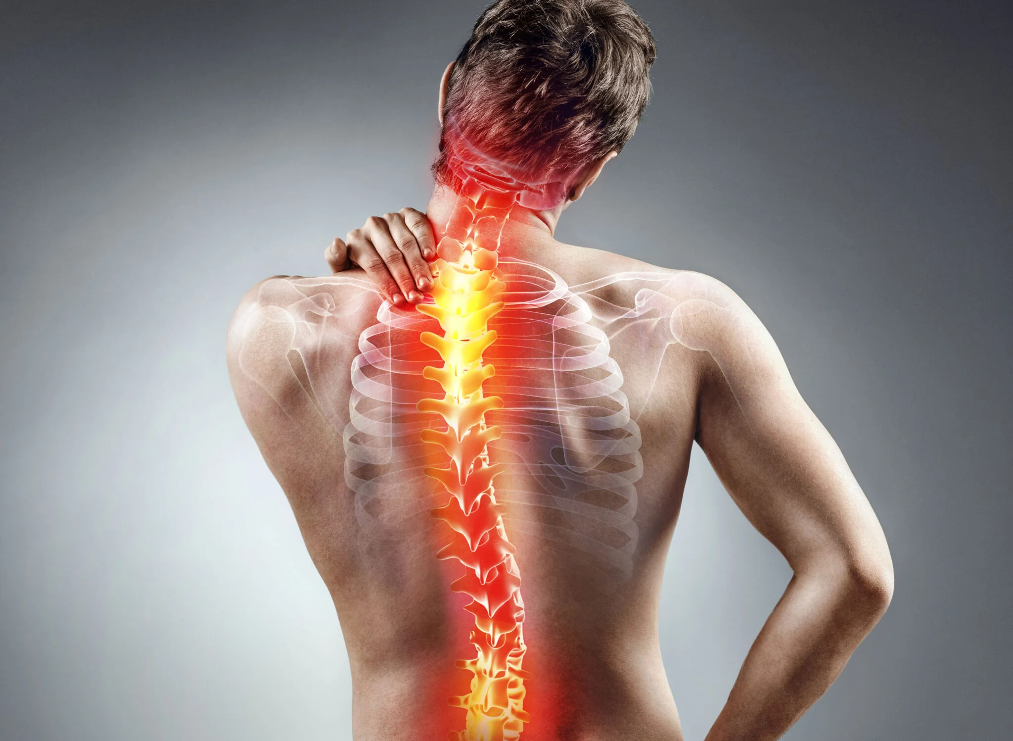 Spine Pain